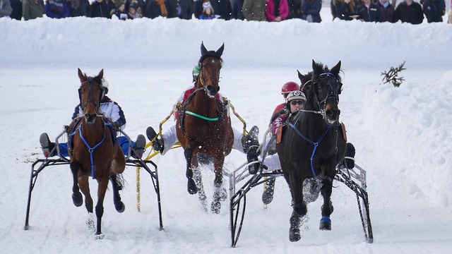 马威半场5中4拿到14分4板，帮助太阳占据上风